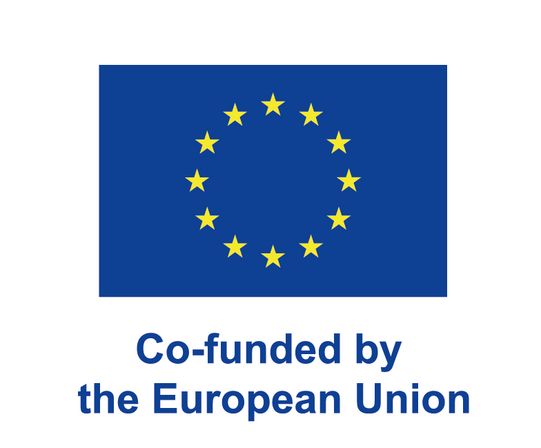 Underneath the flag of the European Union is a text: "Co-funded by the European Union"